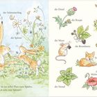 „Die Wiese ist ein toller Platz zum Spielen. Ich sehe eine Spinne.“ Illustrationen von Tieren und Pflanzen beschriftet.