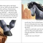 Eine Illustration zeigt einen grauen Pferdekopf vor felsiger Kulisse. Links stolpert ein Pferdehuf an einer Kante.