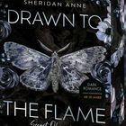 "Sheridan Anne. Drawn to the Flame. Secret Obsession. Dark Romance. Ab 18 Jahre." Über einer dunklen, blumigen Illustration.