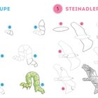 Links oben: "4 Raupe", rechts oben: "5 Steinadler". Anleitung zum Zeichnen einer Raupe und eines Steinadlers.