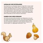 Text über "Ausmalen und Entspannen" und "Farben und ihre Wirkung". Darunter Illustrationen: Eichhörnchen, Eichel, Zapfen, Kürbis.