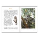 Text: "Das Nest" und "Zwei flauschige Küken hoch oben im Nest". Links: Text und Eulenillustration. Rechts: Foto mit Eulenküken im Baum.