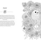 Text Beschreibung: "Aster" und Informationen über ihre Beliebtheit, Farbtöne, und symbolische Bedeutungen. Illustration: Eule, Blumen, Sanduhr.