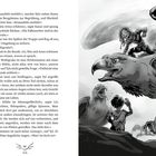 Text erzählt von Kanar und Falkenreitern in der Wolfsgrube. Illustration: Mensch auf großem Vogel, zwei Personen mit Vögeln.