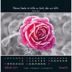 "Meine Seele ist stille zu Gott, der mir hilft. Psalm 62,2." Eine rote Rose mit Eiskristallen, darunter ein Kalender für Januar 2027.