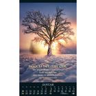 „Segen sei mit dir, der Segen strahlenden Lichtes. Licht um dich her und innen in deinem Herzen.“ Januar-Kalender, verschneiter Baum im Sonnenaufgang.