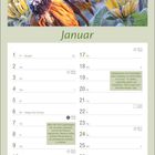 Januar. Pflanzen frostgeschädigt: kühl stellen, gießen. Warten: erholen sich oft. Beetpflanzen nicht vorzeitig schneiden. Orange Blume mit Frost.