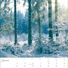 Kalender für Januar mit schneebedecktem Wald. Tage sind von Montag bis Sonntag aufgeführt.