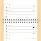 Kalenderseite für Januar: Große Schrift "Jan". Bild oben: flauschige Katze im Schnee. Unten: Katze im Schnee mit der Zahl "01".