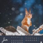 Jan. Kalenderillustration: Ein Eichhörnchen im Schnee auf einem Ast sitzend, umgeben von fallenden Schneeflocken.