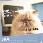 Text: „MEIN BERUFLICHES ZIEL IST: FREITAG.“ Unten ist ein Kalender für Januar. Eine flauschige Katze sieht entspannt aus.
