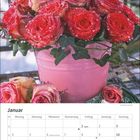 Januar-Kalender mit Rosenstrauß in einem rosa Eimer, die Rosen sind mit kleinen Wassertropfen bedeckt.