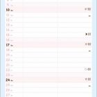 Kalenderseite von Januar. Unten Illustration einer niedlichen Katze im Wintermantel auf Skiern mit "Snow Cute".