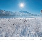 Text: Januar. Winterlandschaft mit gefrorenem Gras und Sonne über schneebedecktem Feld, Bäume im Hintergrund.