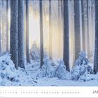 "Januar" und Kalenderdaten darunter. Verschneiter Wald mit Bäumen; Sonnenlicht strömt durch die dichten Stämme.