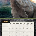 Kalenderseite für Januar mit einem Parasaurolophus-Dinosaurier und einem Logo oben rechts.