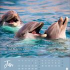 „Wer den Tag mit Lachen beginnt, hat ihn bereits gewonnen.“ Januar Kalender mit drei fröhlichen Delfinen im Wasser.