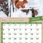 Kalenderblatt Januar mit Spruch: "Klirrt der Frost im Januar, gibt’s ein gutes Erntejahr." Bild: Eichhörnchen im Schnee.