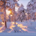 "Januar", Fotografie von verschneitem Wald im Sonnenuntergang. Strahlen brechen durch schneebedeckte Bäume, warme Töne.