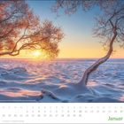 Kalenderblatt für Januar. Ein verschneiter Baum in warmem Sonnenlicht, das eine friedliche Winterlandschaft beleuchtet.