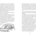 Seite 30. Illustration: Vier Personen in einem Auto, umgeben von Nebel und Regen. Eine Figur zeigt auf etwas vor ihnen.