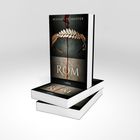 "Die Iden von Rom" von Michael Peinkofer. Cover mit blutbeflecktem Lorbeerkranz, Verlag "Lübbe". Ein Buchstapel.