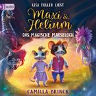 Cover/Produkt Ansicht vergrößern