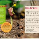Links steht "Was die Pflanze braucht", daneben ein Spross. Rechts Noten und Text "Licht der Liebe".