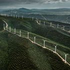 Ein langes, geschwungenes Muster von Windkraftanlagen erstreckt sich über grüne, hügelige Landschaften unter bewölktem Himmel.