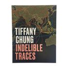 "Tiffany Chung Indelible Traces" steht in großen Lettern vor einer Weltkarte mit bunten Linien und Punkten.