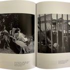 Links: "Gertrud Dübi-Müller... 1916". 
Rechts: "Gertrud Dübi-Müller... 1927." 
Zwei Schwarz-Weiß-Fotos.
