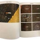 Seitenüberschriften: "Cities/Cidades" links, "Cigarettes" rechts. Fotos zeigen acht Zigarettenstummel auf verschiedenen Gehwegen.