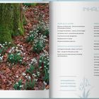 Inhalt mit Themen wie Gehölze im Winter, Struktur, Farbtupfer, ästhetische Gartenareale. Links Schneeglöckchen vor Baum.