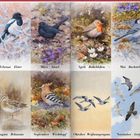 Illustration mit zwölf Vögeln, je Monat ein Vogel: Januar Gimpel, Februar Elster, bis Dezember Buntspecht.