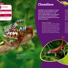 Chamäleon: Reptil. Lebensraum: Regenwald, Wüste. Verbreitung: Afrika, Indien, Mittelmeerregion. Größe: bis zu 66 cm. Trick: Farbwechsel. Ein Chamäleon auf einem Ast, bunte Farben im grünen Hintergrund. Fließtext beschreibt Chamäleonverhalten, Zunge, Farbwechsel durch Kristalle in der Haut. Ein kleineres Bild zeigt Chamäleon auf Futtersuche.
