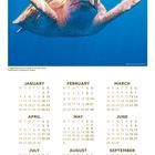 Oben steht "20 PLANET EARTH". Darunter schwimmt eine Meeresschildkröte im Ozean. Ein Kalender für 2027.