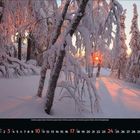 Kalender für Januar: Schneebedeckter Wald bei Sonnenuntergang, Bäume werfen lange Schatten im orangefarbenen Licht.