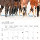 Kalender für Januar 2027. Oben sind vier Pferde im Schnee zu sehen.