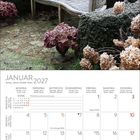 JANUAR 2027 Kalender. Oben Gartenbank mit verblühten Pflanzen und Hecken.