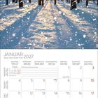 Januar 2027. Ein Kalender zeigt einen Winterwald bei Sonnenaufgang mit Schnee, der durch Bäume leuchtet.
