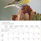 Kalenderseite Januar 2027, Wochen und Feiertage vermerkt, oben ein bunter Vogel auf einem Baumstumpf.