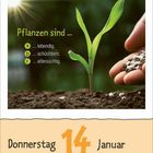 "Pflanzen sind ... a) lebendig. b) schüchtern. c) eifersüchtig." Darunter steht: Donnerstag 14. Januar. Ein Keimling in Erde.