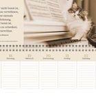 Zitat: "Jemand, der nicht bereit ist, seine Katze zu verwöhnen, bekommt niemals die Belohnung, die sie bereit ist, demjenigen zu schenken, der sie verwöhnt." Darunter eine kalenderartige Tabelle mit Wochenplanung für den Monat Mai und ein Kätzchen auf einem Klavier.