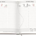 Januar, Woche 53. Freitag 1, Samstag 2, Sonntag 3. Kalenderaufbau mit Linien für Termineinträge, kleines Monatskalender.