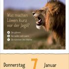 Was machen Löwen kurz vor der Jagd? a) Sie gähnen. b) Sie laufen sich warm. c) Sie kämmen ihre Mähne. Löwe brüllt. Donnerstag, 7. Januar.