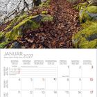 Kalenderblatt für Januar 2027. Ein winterlicher Waldweg mit schneebedeckten Bäumen links und moosbewachsenen Felsen rechts.
