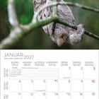 Kalenderblatt Januar 2027; Montag ist der 1. Tag. Oben ein Faultier, das an einem Ast hängt.