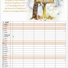 „Wer betrachtet sie nicht gerne, unsere heimischen Vögel im Winter am Vogelhäuschen.“ Kalender für Januar 2027.