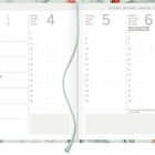 Zweisprachiger Wochenkalender für Januar 2027. Links: Tagesübersicht, rechts: Monatsübersicht. Anthurien-Hintergrund.