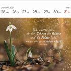 Januar 2027-Kalender: 25-31. Zitat von Lewis Carroll über Schnee, Bäume und zärtliche Küsse. Schneeglöckchen.